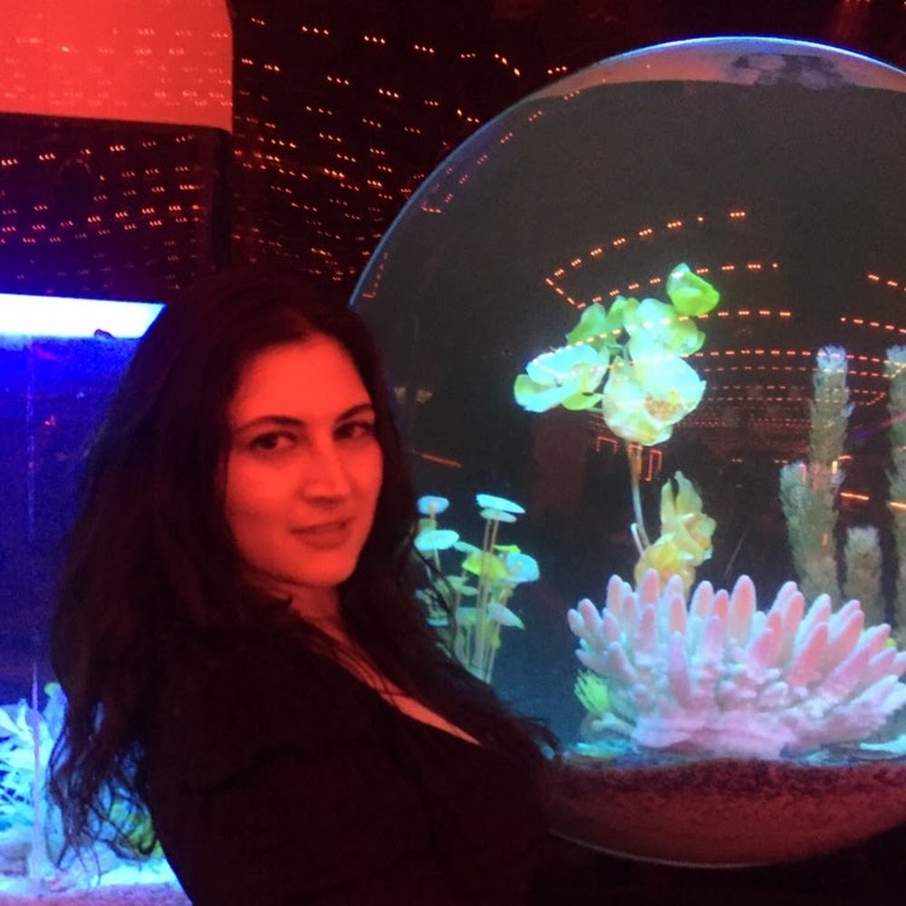 Meet your Posher, Lindsey